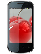 Best available price of Celkon A19 in Netherlands
