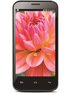 Best available price of Lava Iris 505 in Netherlands