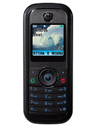Best available price of Motorola W205 in Netherlands