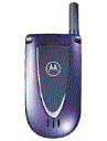 Best available price of Motorola V66i in Netherlands